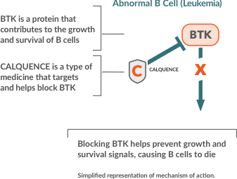 Simplify representation of Mechanism of action in CCL